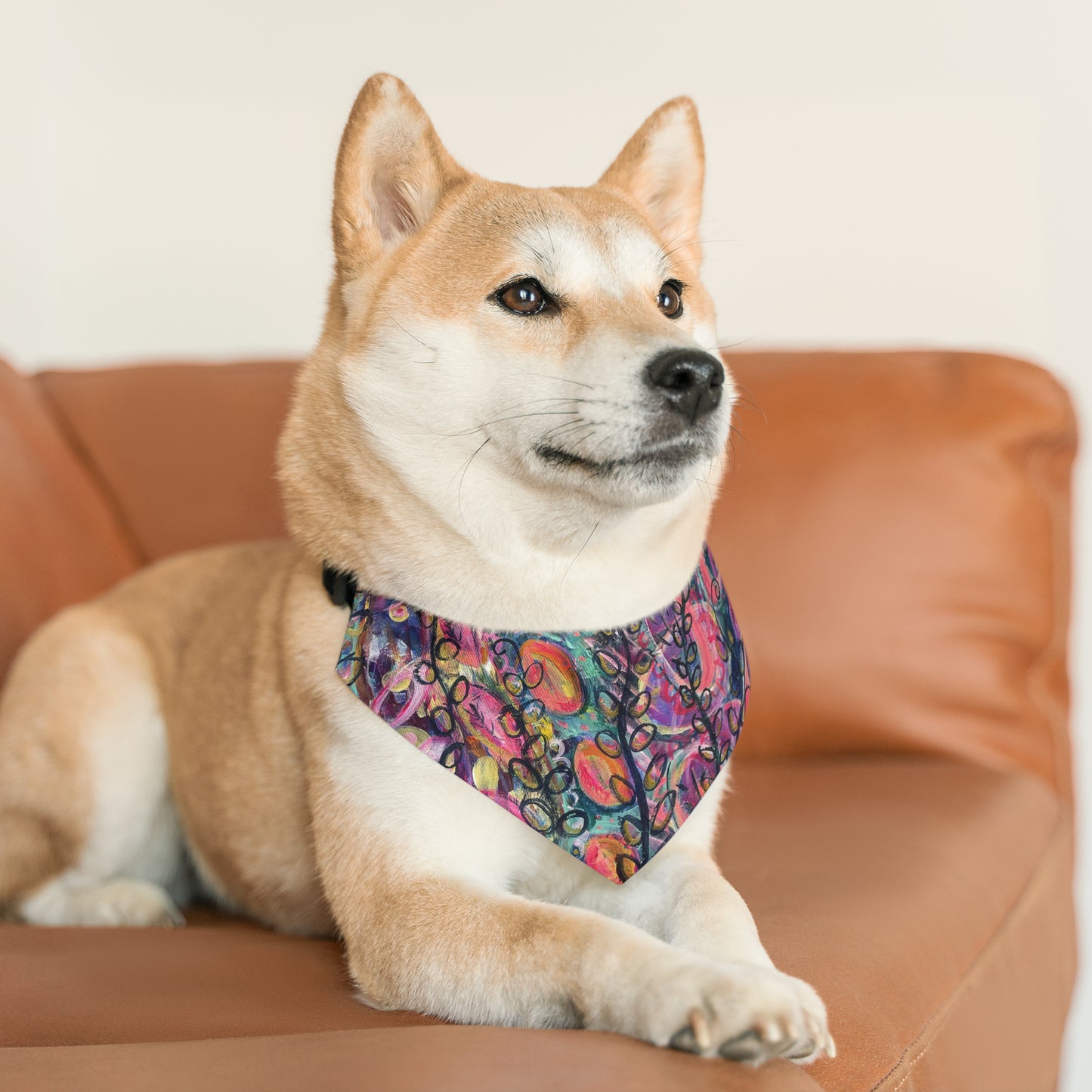 Find That Magic Pet Bandana Collar