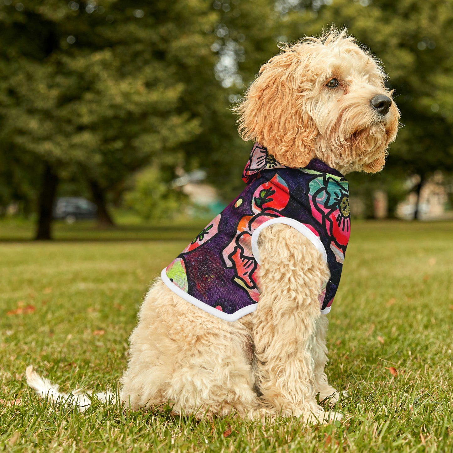 Pick-Me-Up Pet Hoodie