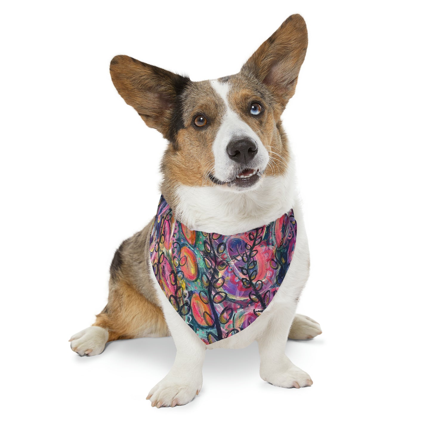 Find That Magic Pet Bandana Collar