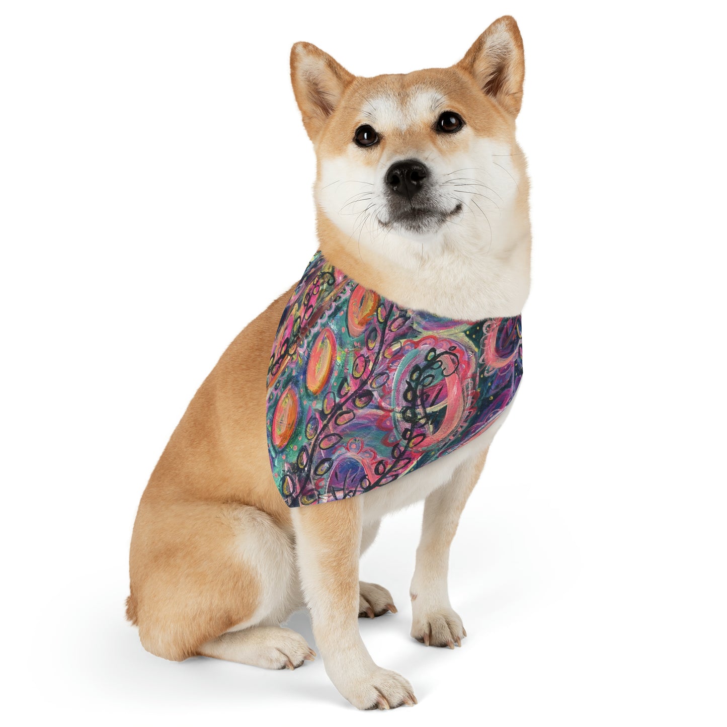 Find That Magic Pet Bandana Collar