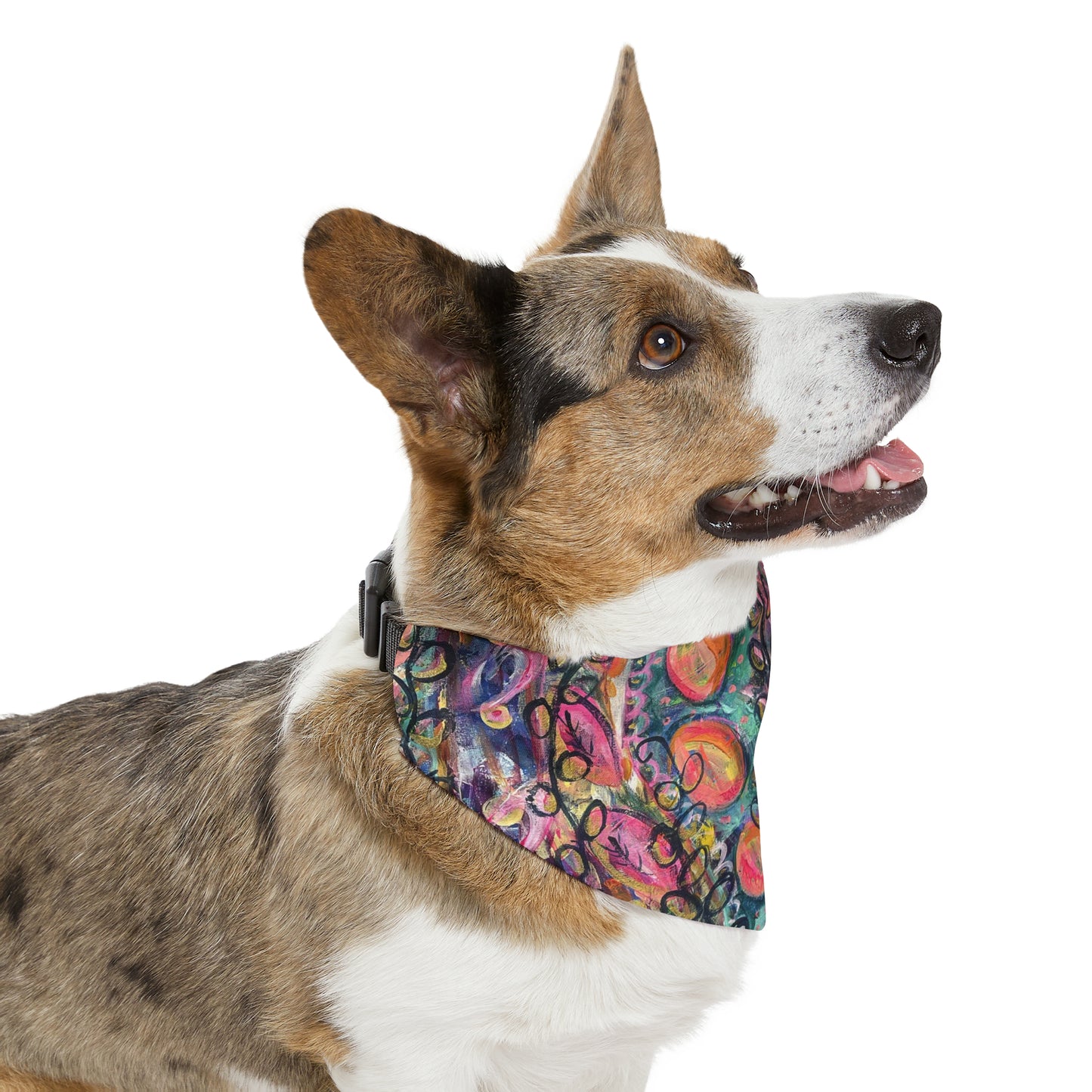 Find That Magic Pet Bandana Collar