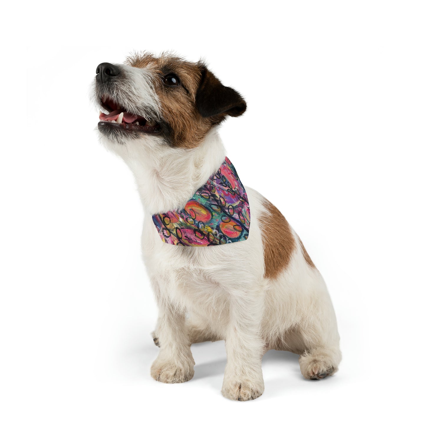 Find That Magic Pet Bandana Collar