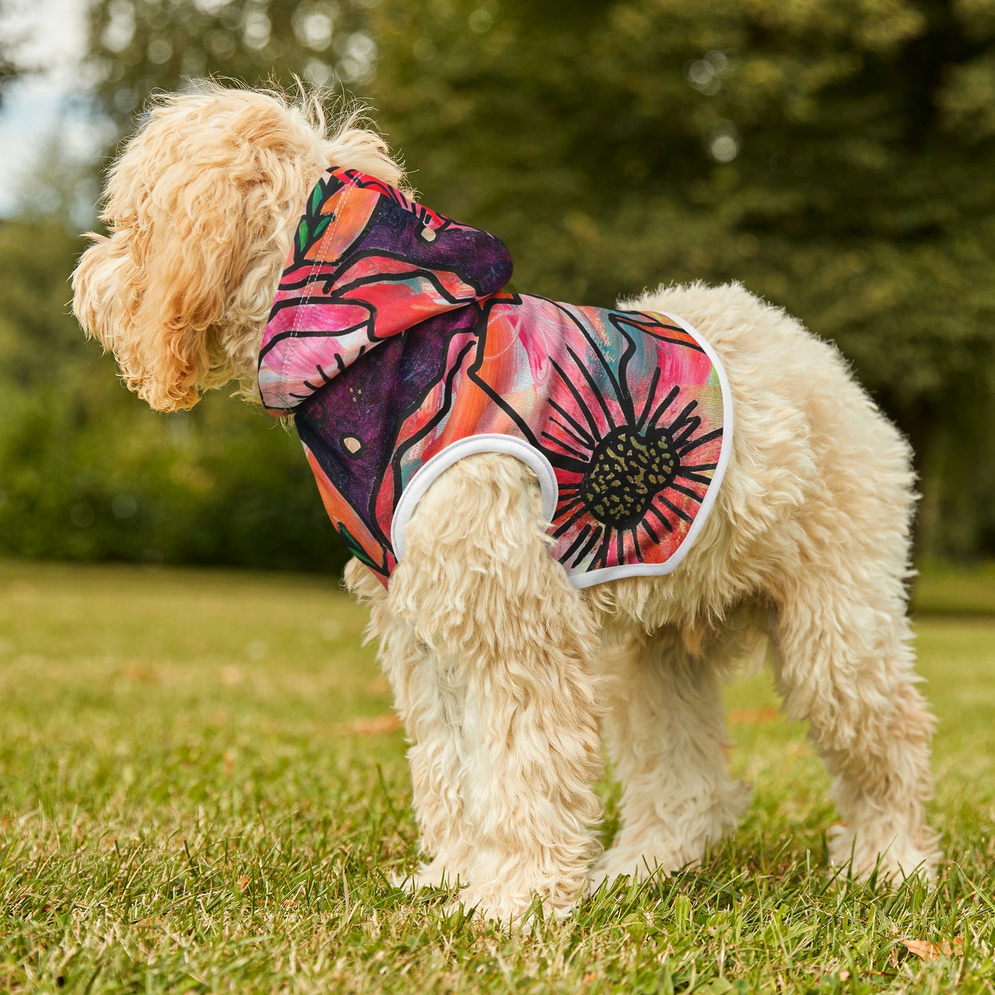 Pick-Me-Up Pet Hoodie